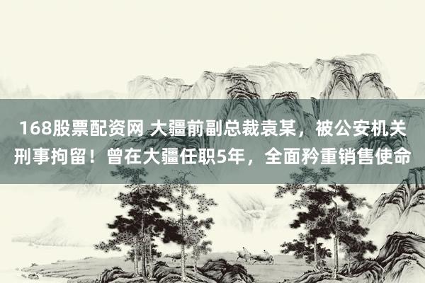 168股票配资网 大疆前副总裁袁某，被公安机关刑事拘留！曾在大疆任职5年，全面矜重销售使命