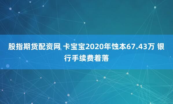 股指期货配资网 卡宝宝2020年蚀本67.43万 银行手续费着落