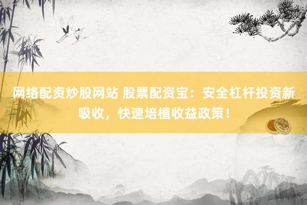 网络配资炒股网站 股票配资宝：安全杠杆投资新吸收，快速培植收益政策！